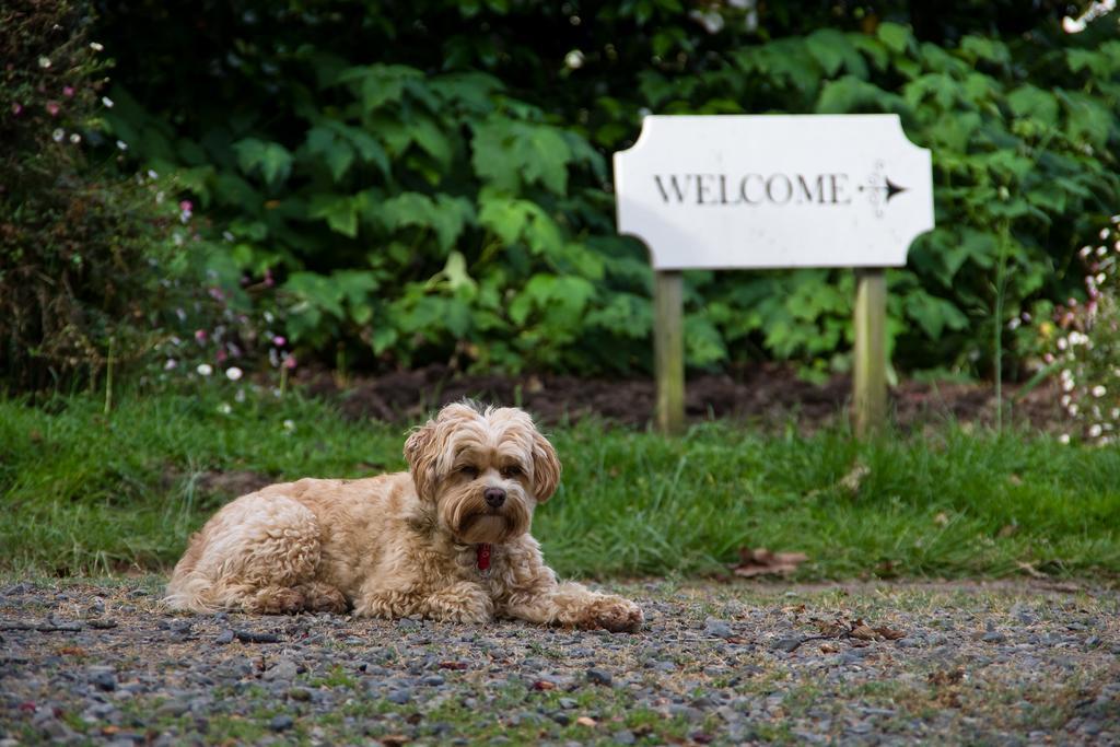 Ugbrooke Country Estate Hotel Lower Dashwood Екстериор снимка